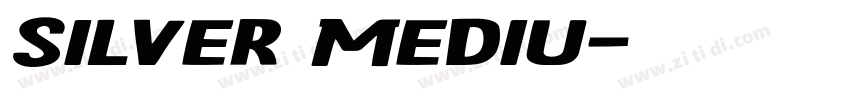 Silver Mediu字体转换